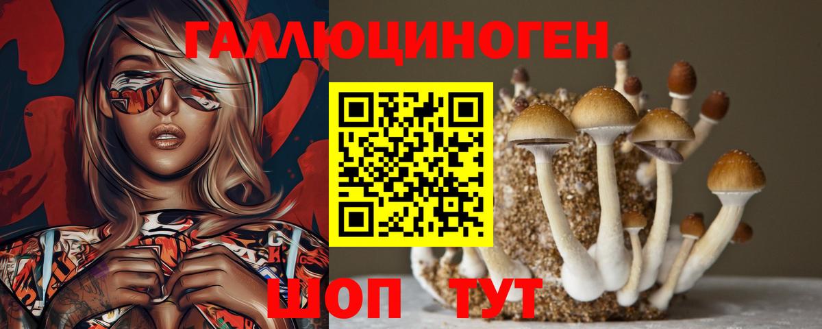 Галлюциногенные грибы мицелий Оренбург